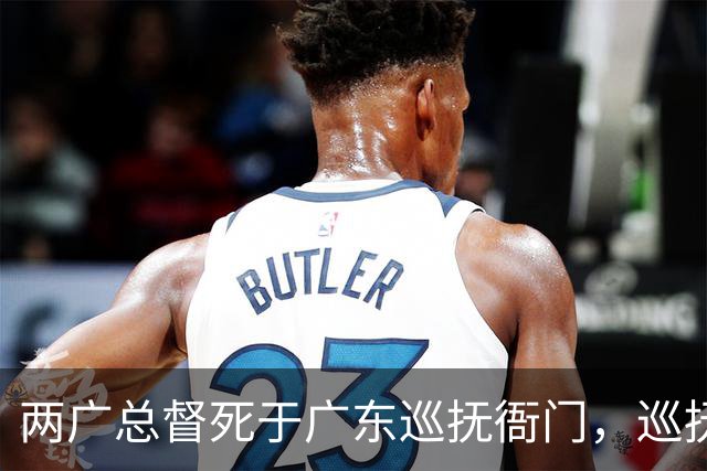 两广总督死于广东巡抚衙门，巡抚称其自尽身亡，嘉庆：他死不足惜！