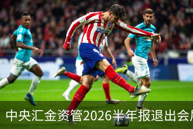 中央汇金资管2026半年报退出会展服务行业兰生股份前十大股东名单