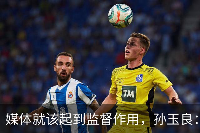 媒体就该起到监督作用，孙玉良：需要唱赞歌，请把这个权利给人民
