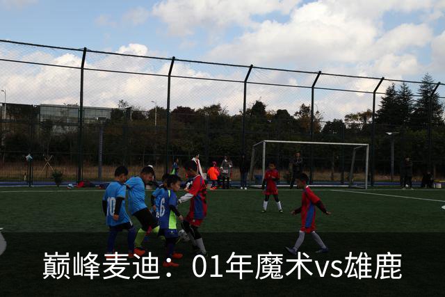 巅峰麦迪：01年魔术vs雄鹿