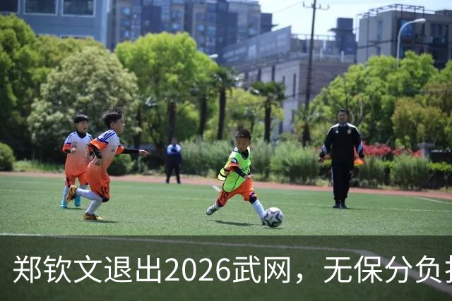 郑钦文退出2026武网，无保分负担但强制零分悬念几何？