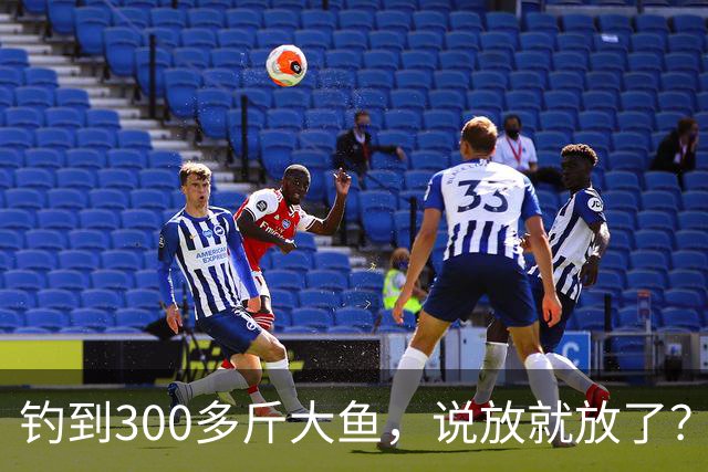 钓到300多斤大鱼，说放就放了？