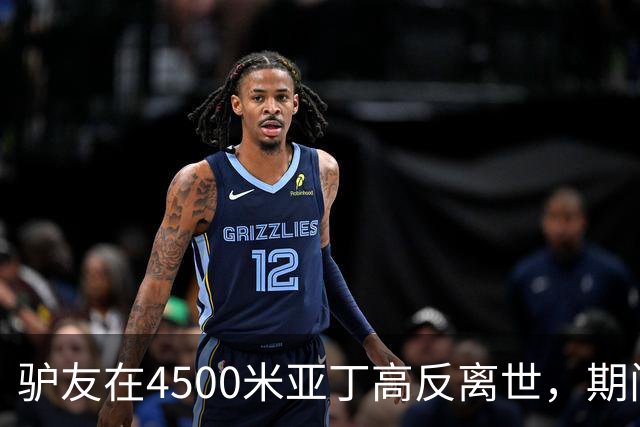 驴友在4500米亚丁高反离世，期间姐姐全网求免费直升机，牧民报价1万被她拉黑