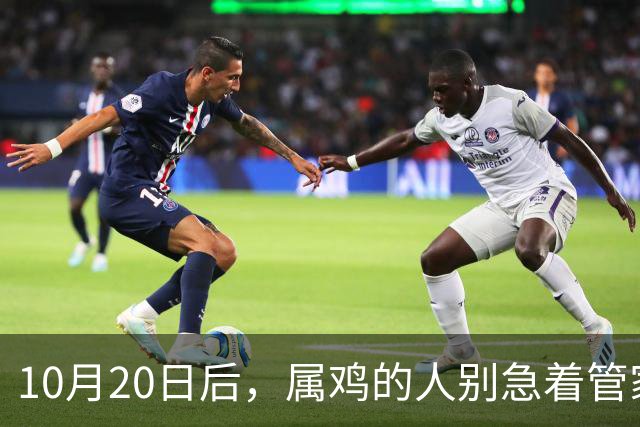 10月20日后，属鸡的人别急着管家里的事