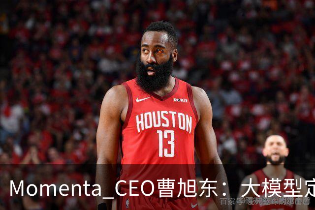 Momenta CEO曹旭东：大模型定义芯片 才有可能实现规模化L4